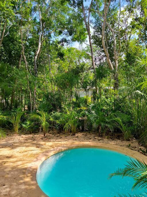 Tao Edena G4 Spacious Apt With Gym & Jacuzzi * Tulum