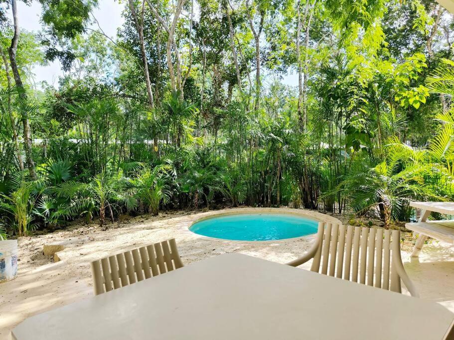 Apartment Tao Edena G4 Spacious Apt With Gym & Jacuzzi
