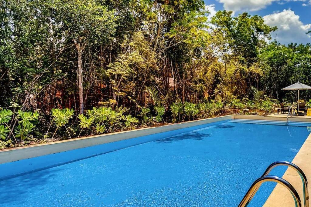 Apartment Tao Edena G4 Spacious Apt With Gym & Jacuzzi *